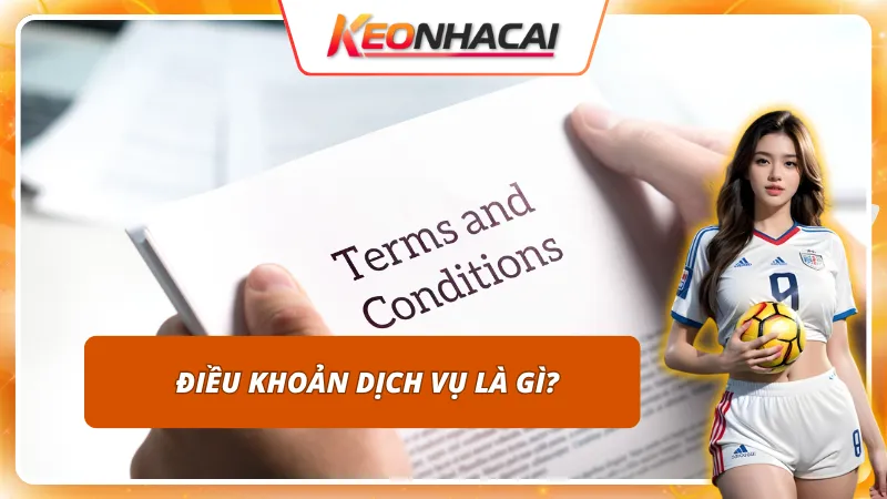 Khái niệm điều khoản dịch vụ - nền tảng của cá cược minh bạch
