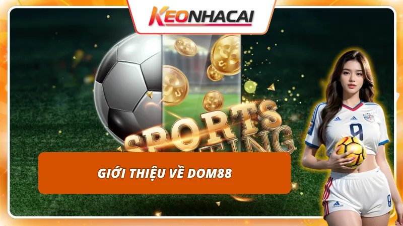 Cái nhìn tổng quan về nhà cái DOM88