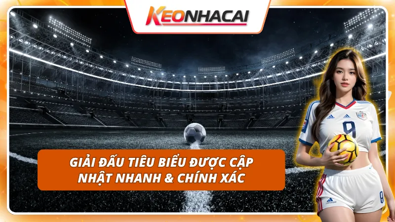 Những giải đấu được cập nhật nhanh và đầy đủ nhất
