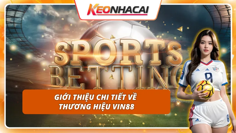 Cái nhìn tổng quan về thương hiệu VIN88